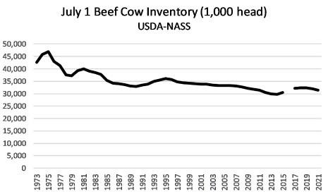 jul 1 beef cattle inventory